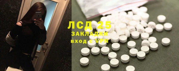 прущие грибы Бородино