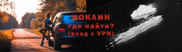 стаф Дмитров