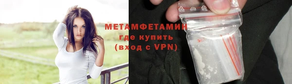 прущие грибы Бородино