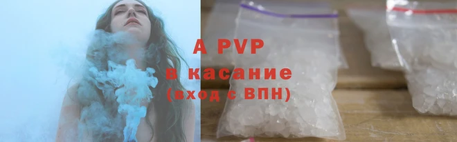 прущие грибы Бородино