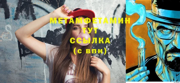 индика Горнозаводск