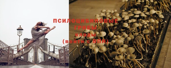 стафф Дмитровск