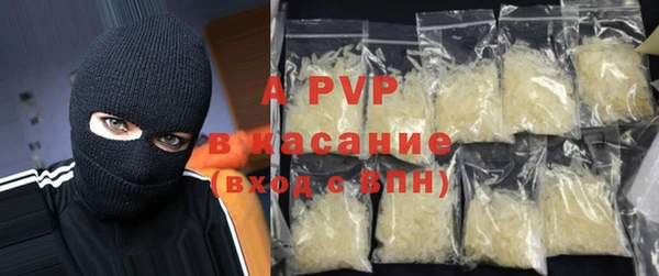 прущие грибы Бородино